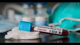 Coronavirus Ecco Cos'è