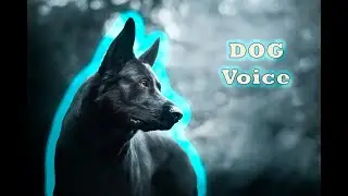 Dog Sound | Dog voice effect | Aggressive Dog Barking