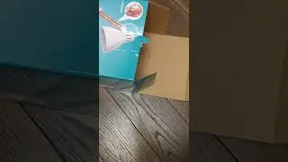ГАДЖЕТЫ СВОДЯТ С УМА НЕ ТОЛЬКО ЛЮДЕЙ, НО И КОТОВ