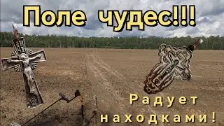 Один из лучших выездов за сезон! коп, лето 2024.