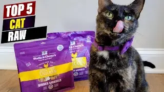 5 Reasons to Switch Your Cat to Frozen or Freeze-Dried Raw Food