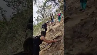 Путешествия 
