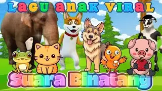 Lagu Suara Binatang, Kucing, Kambing, Sapi, Anjing, bebek, Ayam, monyet, kodok, babi, Gajah - KBeeb