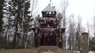 Поляна невест в Сыктывкаре