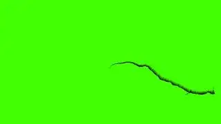 Crack Green Screen Effect