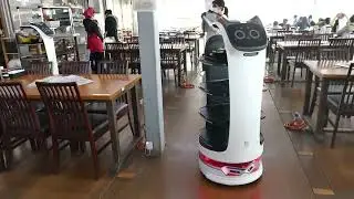 漁師料理かなや、DFA Roboticsによる 10台のBellaBot自動連携