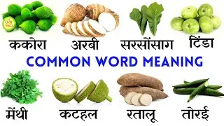 Common English Words with Hindi meaning | Daily English Speaking Word Meaning | English Vocabulary