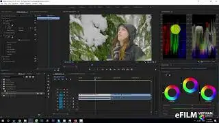 2.1 - Chỉnh màu Adobe Premiere Pro - HSL Secondary - Chỉnh màu chi tiết