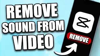 How to Remove Sound From Video in CapCut (2024) - Mobile/PC