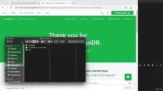 10.3  Installing MongoDB on macOS and Linux