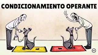 Condicionamiento Operante de Skinner: Recompensas & Castigos