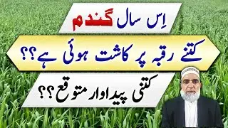 How much wheat has been cultivated during this year 2023-24 || Crop Reformer