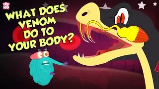 What Does Snake's Venom Do To Your Body?  | Snake Venom Effects | Dr Binocs Show | Peekaboo Kidz