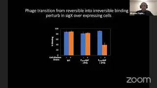 Elhanan Tzipilevich: Plaque formation dynamics reveal a mode of bacterial tolerance to phage