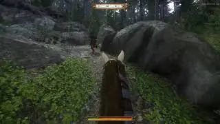 Kingdom Come Deliverance - Following NPC After Random Encounter