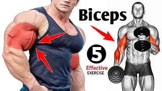 5 Muscle Building Biceps Workout At Gym - THE GYM