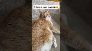 ОБАЛДЕЛИ все?!😂😅🔥Ирония судьбы