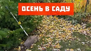 Осень в саду | Прогулки по саду