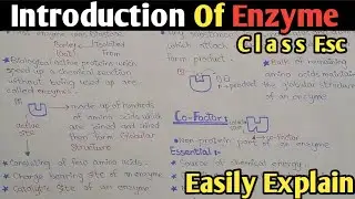 Introduction To Enzyme in biochemistry | Cofactor | Class 11 Biology