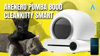 Arenero con autolimpieza Cecotec PUMBA 8000 Cleankitty