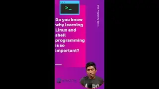 Why should developers and testers should learn Linux and shell scripting?