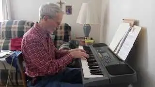 Jesse's Song