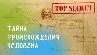 Тайна происхождения человека. Дух, душа и тело? Чем отличается человек от животного? |  Мыслить Шире