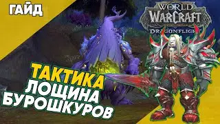 ЛОЩИНА БУРОШКУРОВ ТАКТИКА мифик плюс 2 сезон World of Warcraft Dragonflight патч 10.1