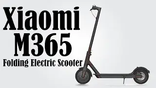 Xiaomi M365 Folding Electric Scooter