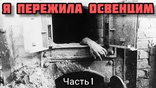Я пережила Освенцим. 1 часть. Знакомство с Освенцимом
