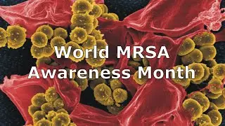 World MRSA Awareness Month