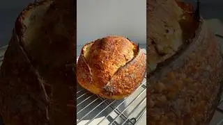 Tricolor Quinoa Sourdough #homemade#sourdough#homebaking#bread#shorts#tutorial#bakingtips#recipe