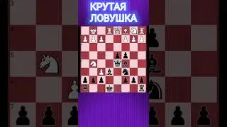 💥ПОЗДНО ПИТЬ БОРЖОМИ #шахматы #chess #chesstraps #шахматныеловушки