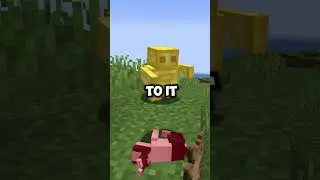 Minecrafts Newest Golem!