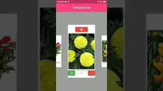 Flutter Horizontal Scroll items with Sanp Effect