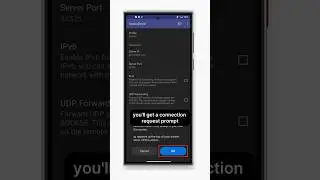 Confirming VPN Connection Request #iproyal #socksdroid #residentialproxies