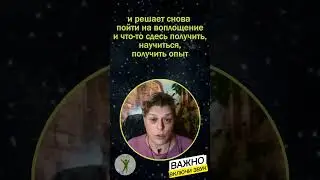 Миром правит резонанс. Сценарий принятия в Род. Мария Шлоен #shorts