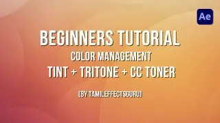 After Effects Beginner Color Management(Tamil) - Part 14