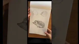 Рисуем (строим) ежика правильно