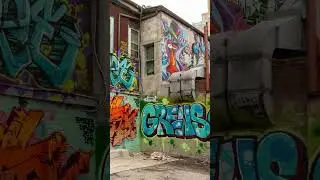 fun free tourists spot in Toronto