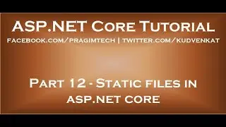 Static files in asp net core