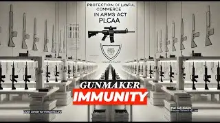 Gun Manufacturer Legal Immunity + Exceptions to PLCAA