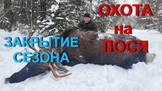 Охота НА ЛОСЯ. 2022 - ПЕРВЫЙ бык года.