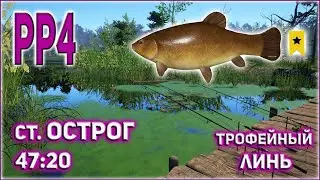 ТРОФЕЙНЫЙ ЛИНЬ НА ОСТРОГЕ РР4 / РУССКАЯ РЫБАЛКА 4 СТАРЫЙ ОСТРОГ ТРОФЕЙНЫЙ ЛИНЬ / RF4 TROPHY TENCH