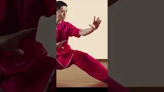 What is Kung Fu?