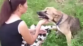 Она прыгнула в реку, плача искала своих щенков, брошенных туда хозяином...
