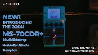 Zoom MS 70CDR+ Introduction Video