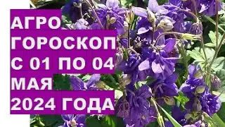 Агрогороскоп с 01 по 04 мая 2024 года.Agrohoroscope from May 01 to May 04, 2024