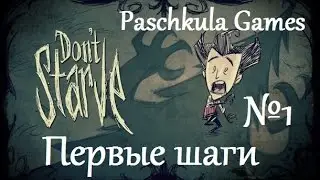 Don't Starve Знакомимся с игрой