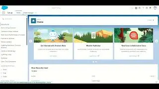 Data Security in one video | Control access to data using point-and-click security tool | salesforce